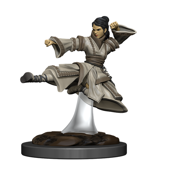 WizKids D&D Icons of the Realms Premium Figures: Human Monk Female