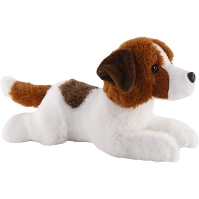 Jack Russell teriér 26 cm