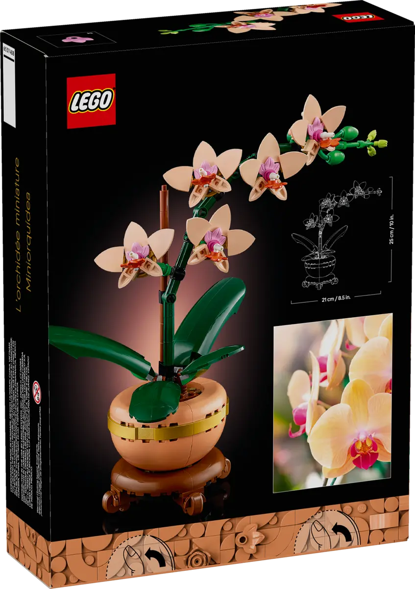 LEGO LEGO® Botanicals Miniaturní orchidej 10343